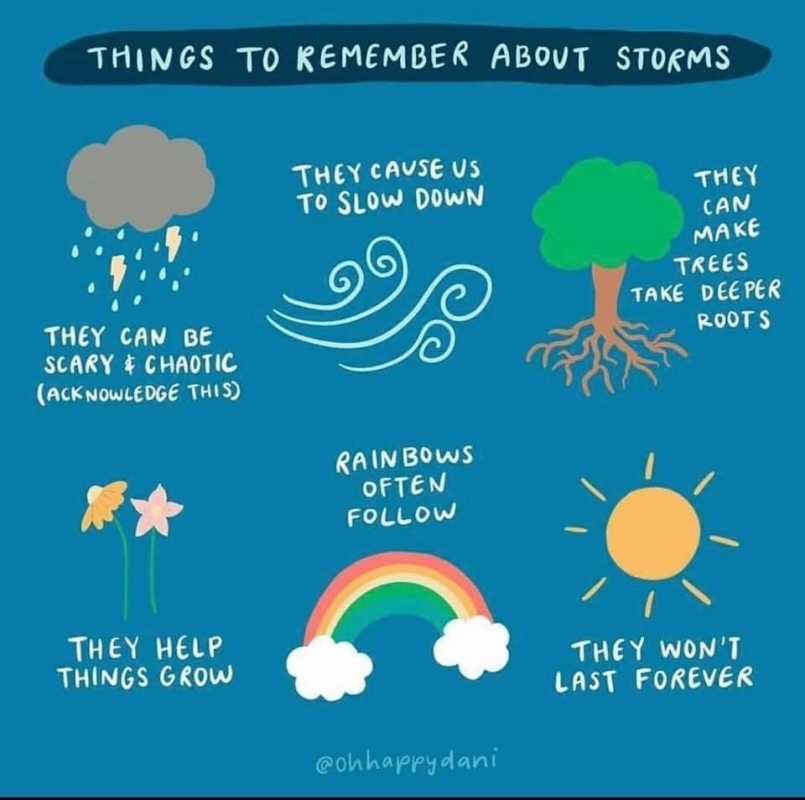 An infographic with the title "Things to Remember About Storms." The list includes: They can be scary & chaotic; They cause us to slow down; They can make trees take deeper roots; They help things grow; Rainbows often follow; They won’t last forever.