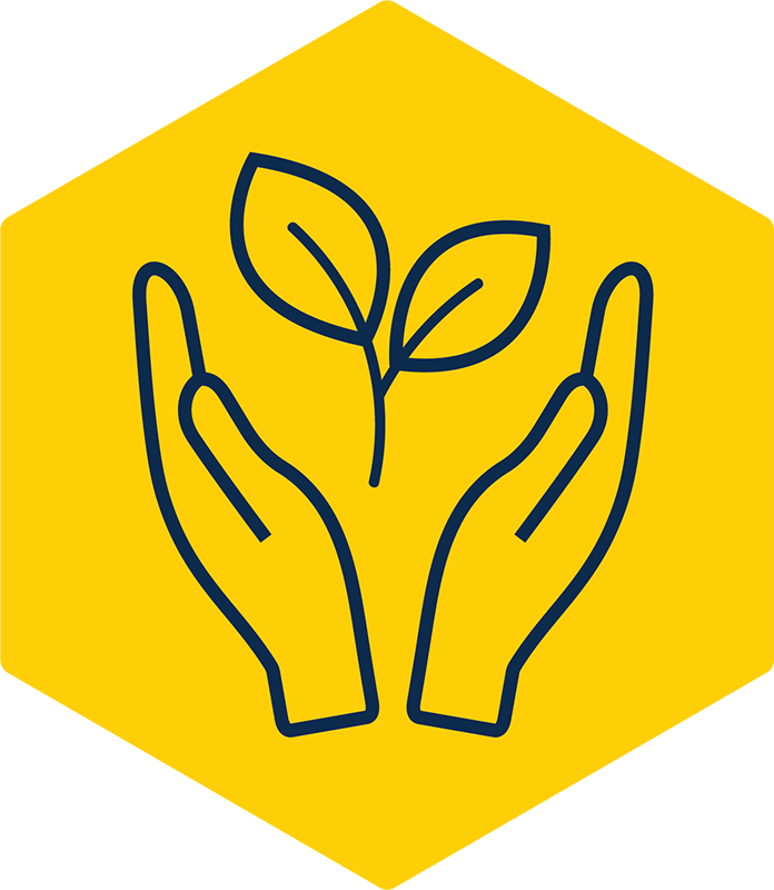 Icon of hands holding a leaf