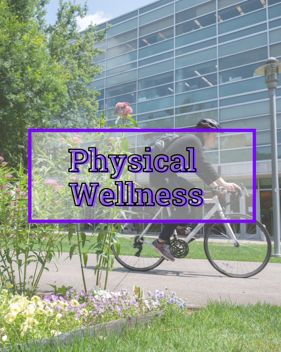 Physical Wellness