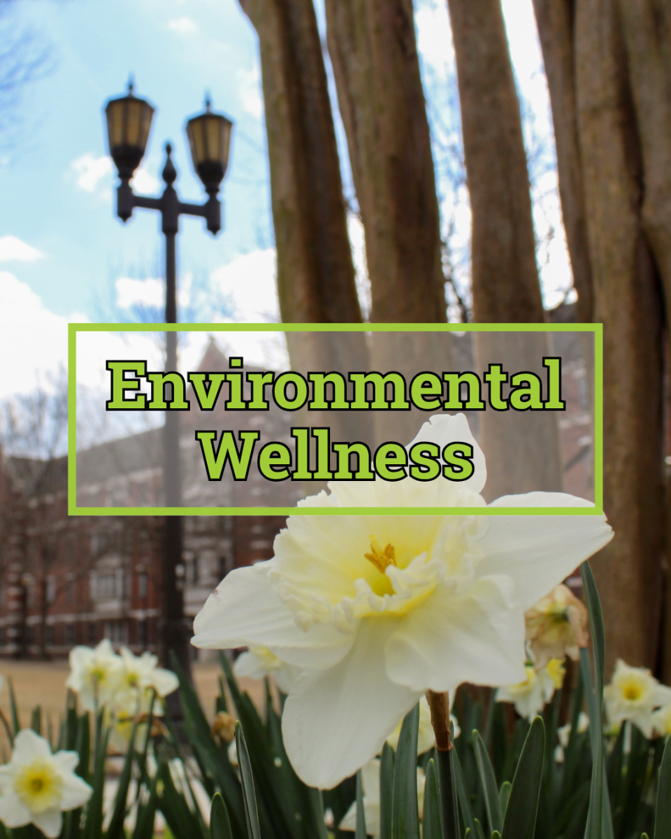 Intellectual Wellness